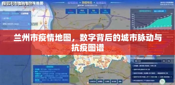兰州市疫情地图，数字背后的城市脉动与抗疫图谱