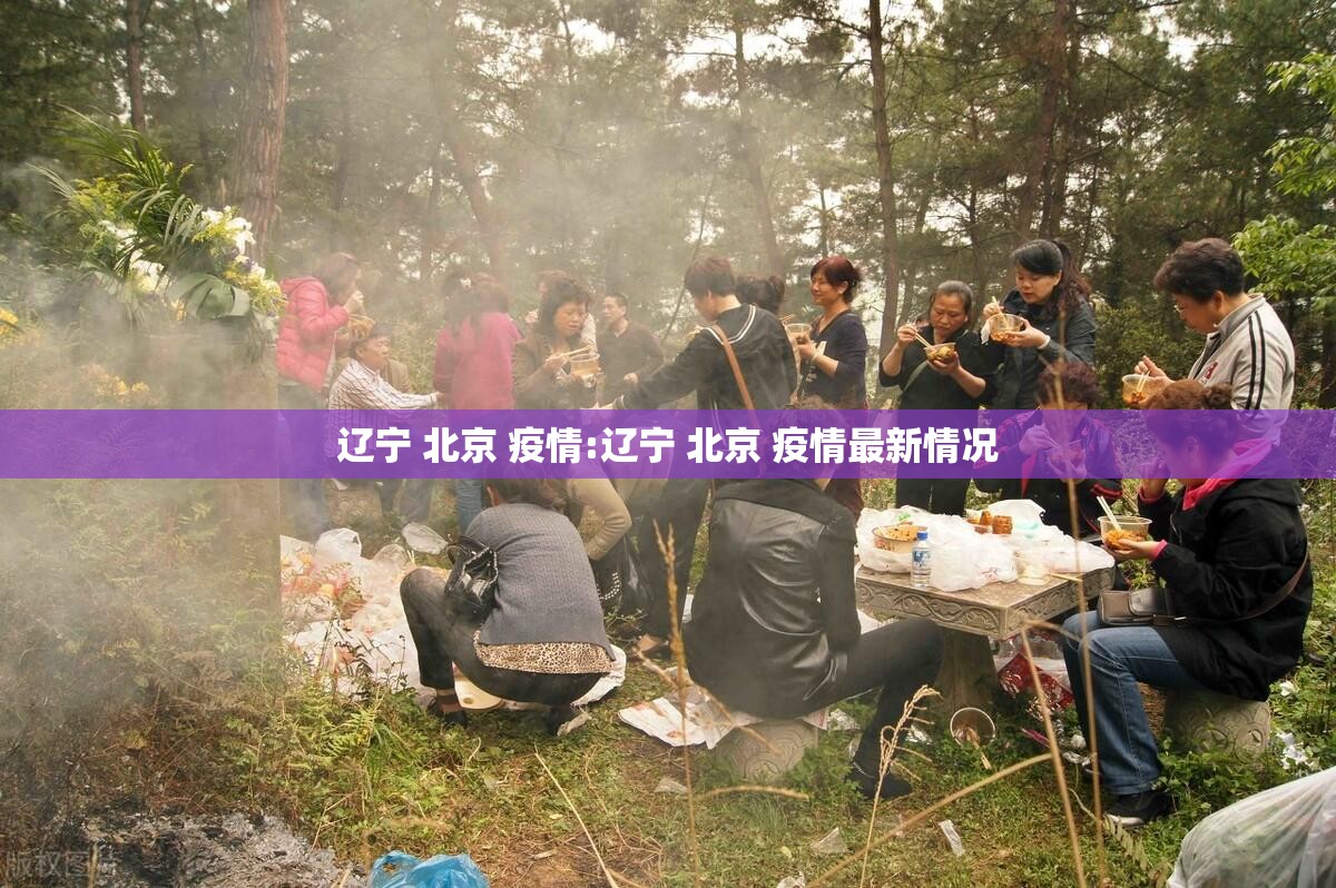辽宁 北京 疫情:辽宁 北京 疫情最新情况