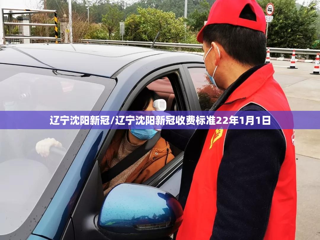 辽宁沈阳新冠/辽宁沈阳新冠收费标准22年1月1日