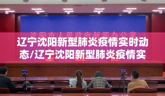 辽宁沈阳新型肺炎疫情实时动态/辽宁沈阳新型肺炎疫情实时动态图