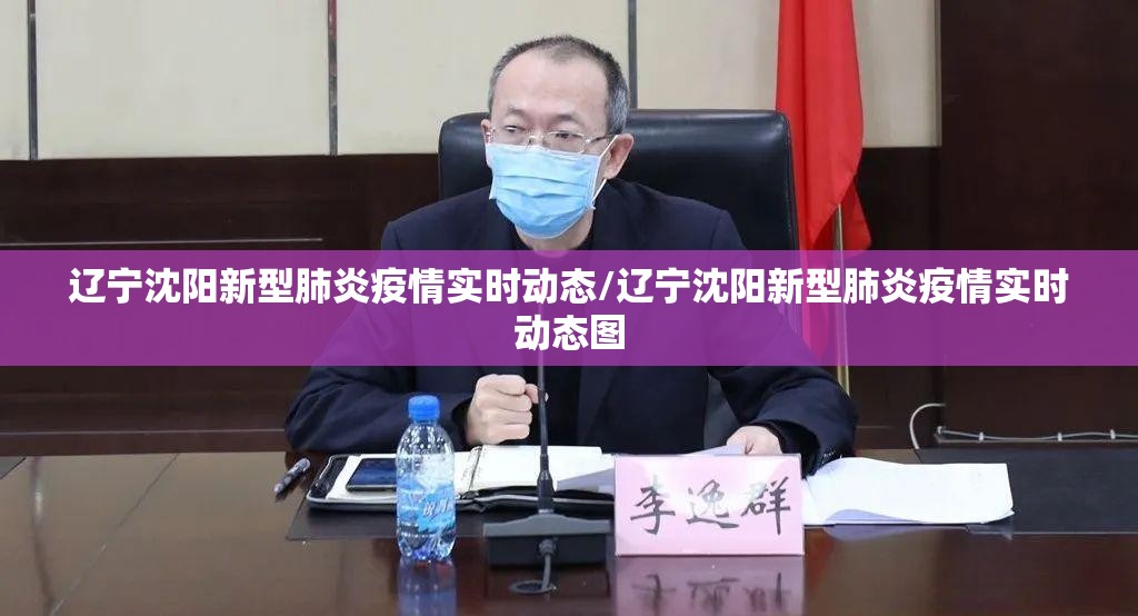 辽宁沈阳新型肺炎疫情实时动态/辽宁沈阳新型肺炎疫情实时动态图