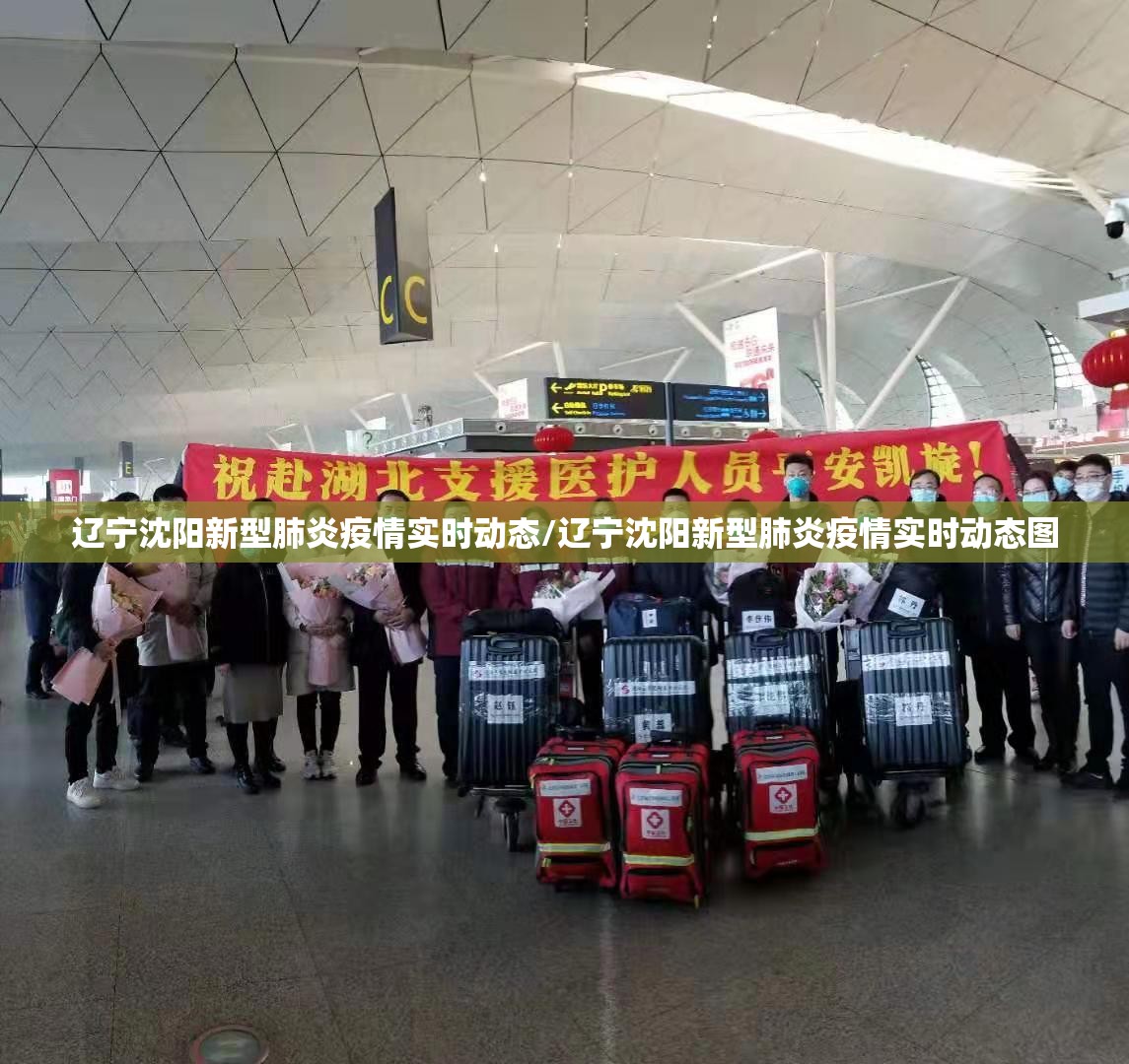 辽宁沈阳新型肺炎疫情实时动态/辽宁沈阳新型肺炎疫情实时动态图