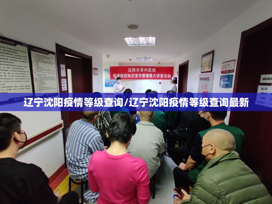 辽宁沈阳疫情等级查询/辽宁沈阳疫情等级查询最新