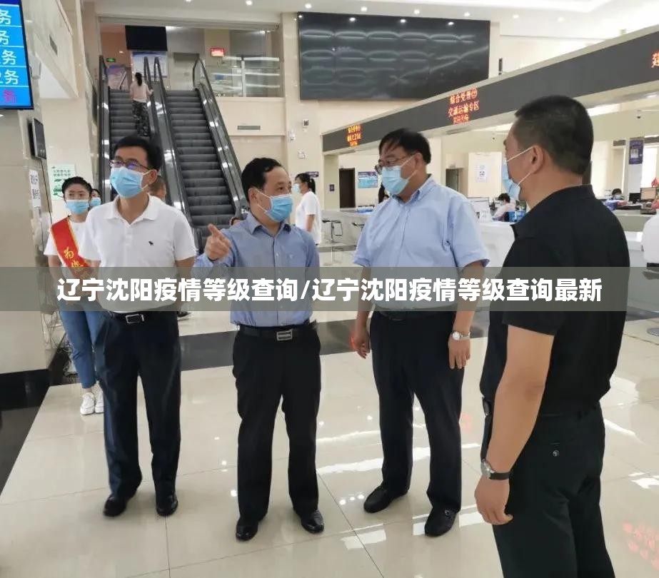 辽宁沈阳疫情等级查询/辽宁沈阳疫情等级查询最新