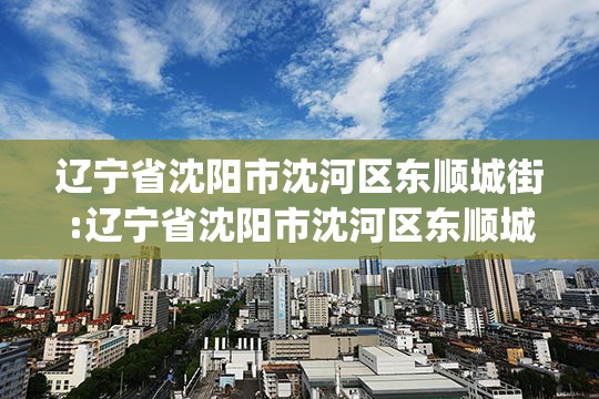 辽宁省沈阳市沈河区东顺城街:辽宁省沈阳市沈河区东顺城街142号(1-4-1)