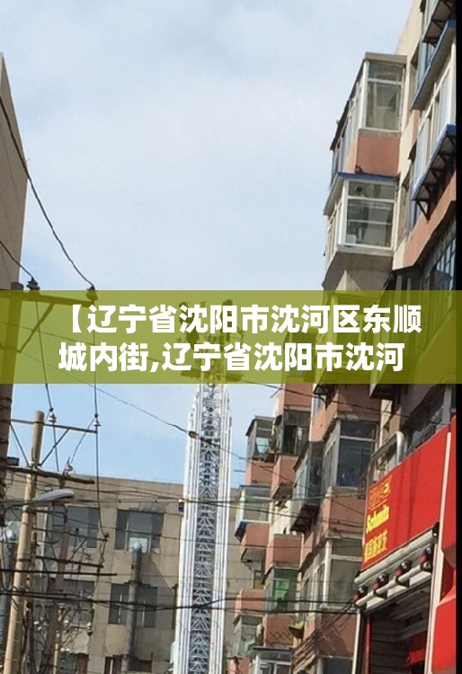 【辽宁省沈阳市沈河区东顺城内街,辽宁省沈阳市沈河区东顺城内街80号楼】