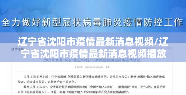 辽宁省沈阳市疫情最新消息视频/辽宁省沈阳市疫情最新消息视频播放