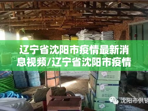 辽宁省沈阳市疫情最新消息视频/辽宁省沈阳市疫情最新消息视频播放