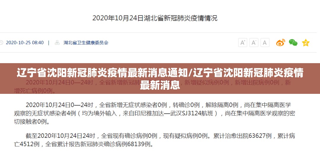 辽宁省沈阳新冠肺炎疫情最新消息通知/辽宁省沈阳新冠肺炎疫情最新消息