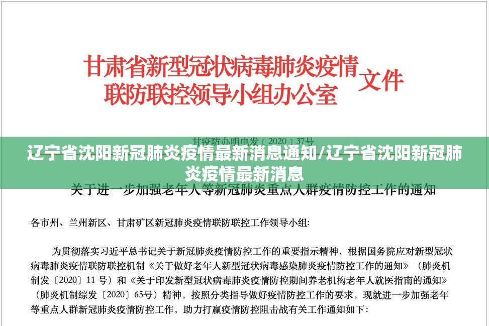 辽宁省沈阳新冠肺炎疫情最新消息通知/辽宁省沈阳新冠肺炎疫情最新消息
