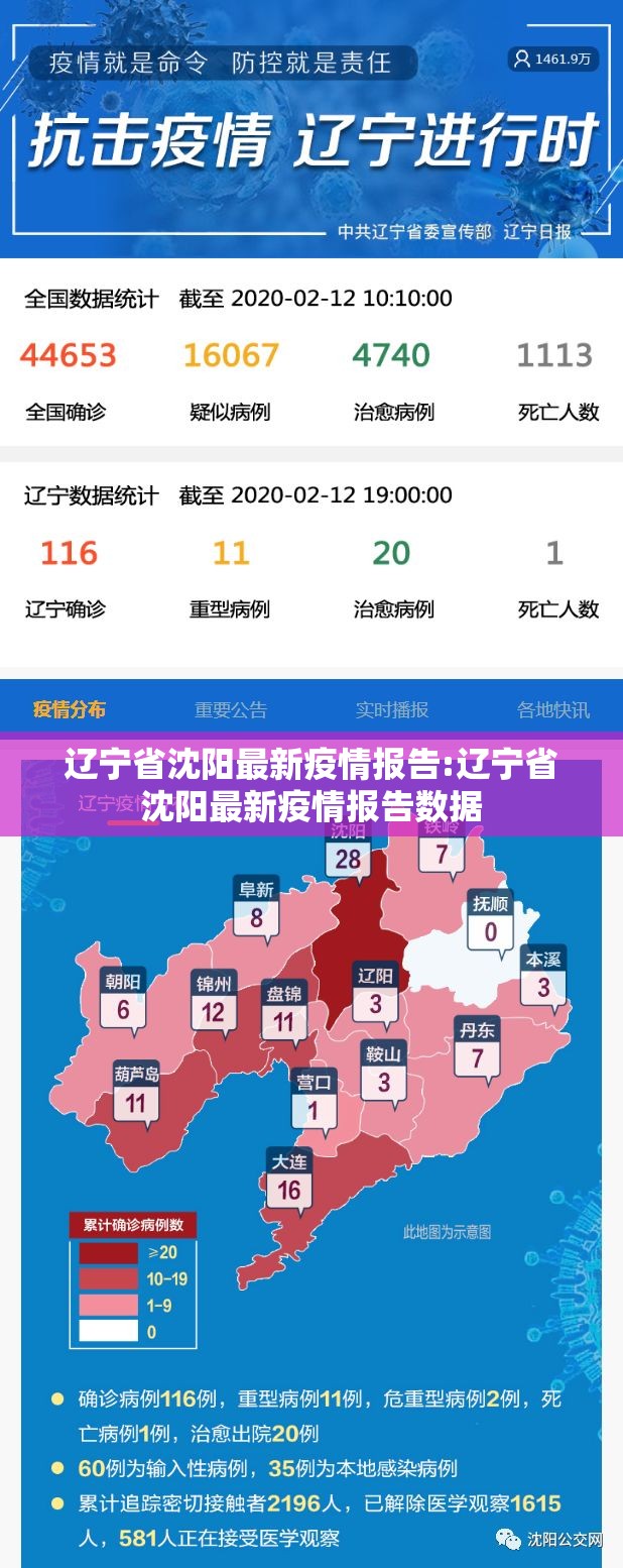 辽宁省沈阳最新疫情报告:辽宁省沈阳最新疫情报告数据