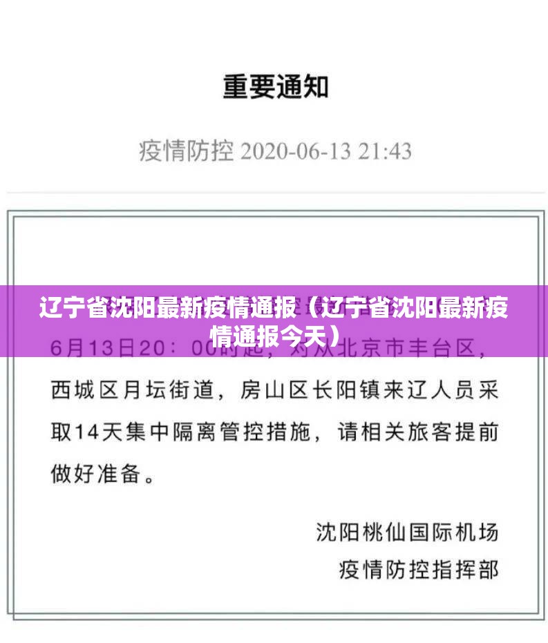辽宁省沈阳最新疫情通报（辽宁省沈阳最新疫情通报今天）