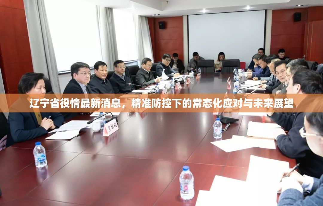 辽宁省役情最新消息，精准防控下的常态化应对与未来展望