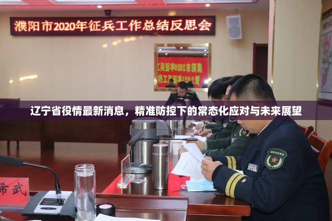 辽宁省役情最新消息，精准防控下的常态化应对与未来展望