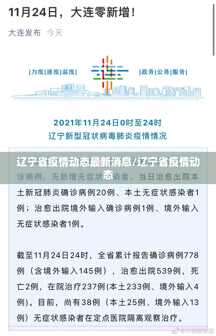 辽宁省疫情动态最新消息/辽宁省疫情动态