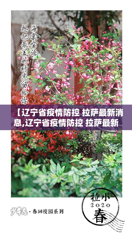 【辽宁省疫情防控 拉萨最新消息,辽宁省疫情防控 拉萨最新消息通知】