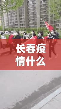 上海疫情局 海南省分局电话（上海疫情局 海南省分局电话号码）