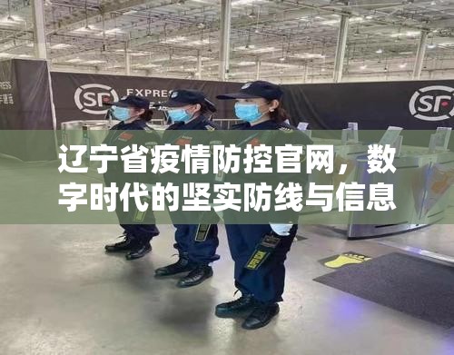 辽宁省疫情防控官网，数字时代的坚实防线与信息灯塔