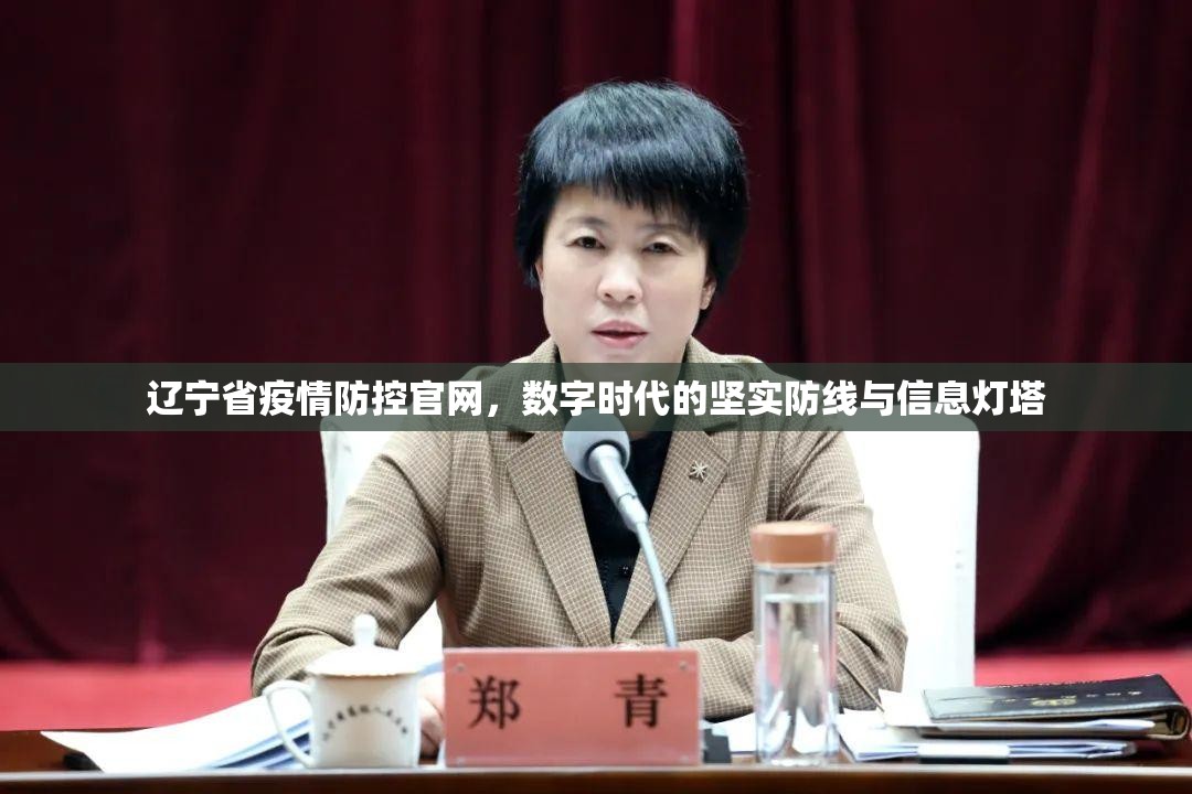 辽宁省疫情防控官网，数字时代的坚实防线与信息灯塔