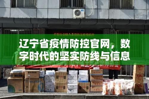 辽宁省疫情防控官网，数字时代的坚实防线与信息灯塔
