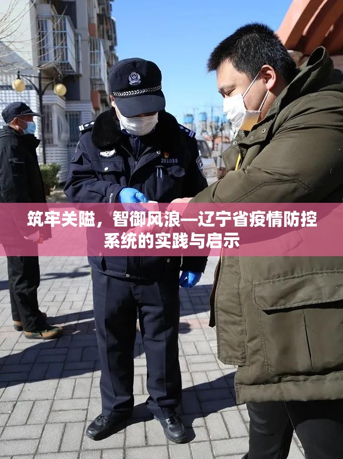 筑牢关隘，智御风浪—辽宁省疫情防控系统的实践与启示