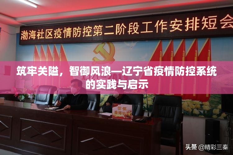 筑牢关隘，智御风浪—辽宁省疫情防控系统的实践与启示