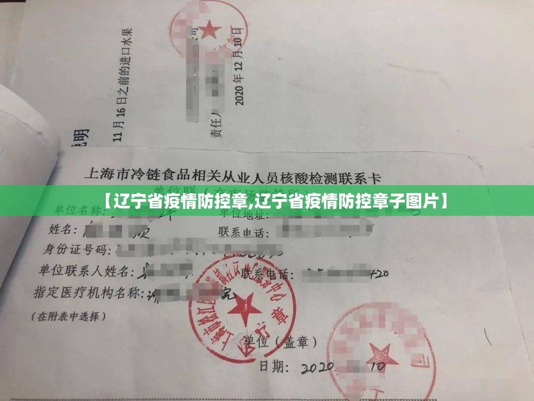【辽宁省疫情防控章,辽宁省疫情防控章子图片】