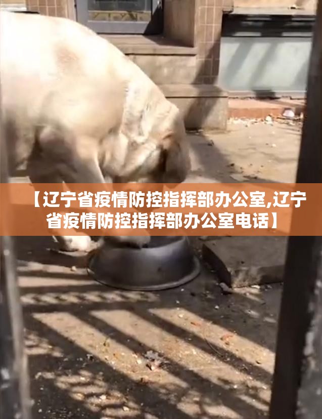 【辽宁省疫情防控指挥部办公室,辽宁省疫情防控指挥部办公室电话】