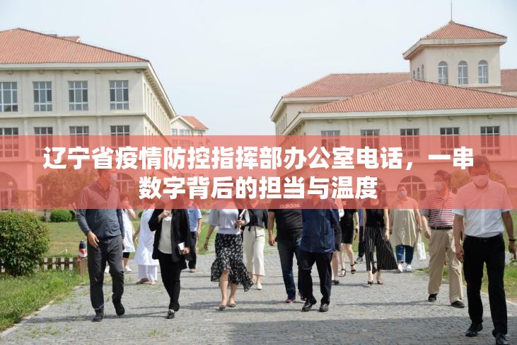 辽宁省疫情防控指挥部办公室电话，一串数字背后的担当与温度