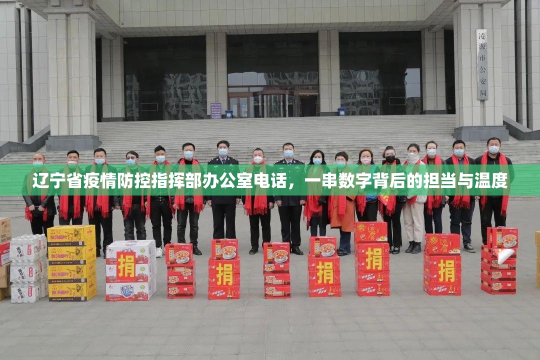 辽宁省疫情防控指挥部办公室电话，一串数字背后的担当与温度