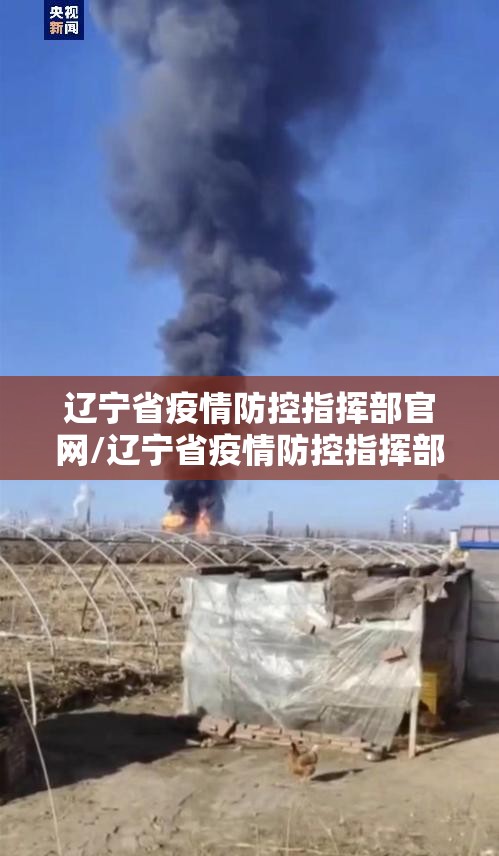 辽宁省疫情防控指挥部官网/辽宁省疫情防控指挥部官网电话