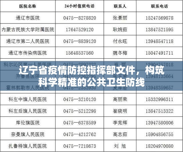 辽宁省疫情防控指挥部文件，构筑科学精准的公共卫生防线