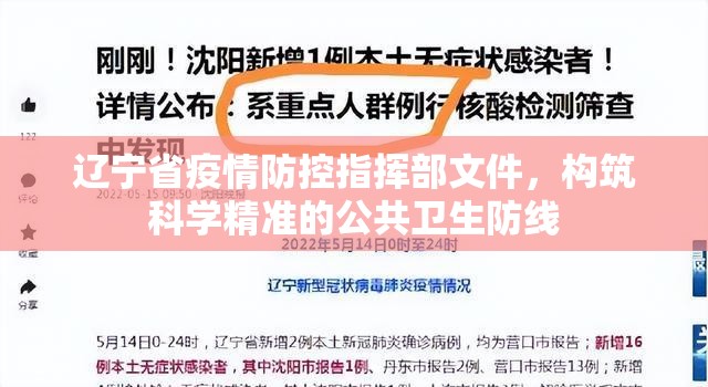 辽宁省疫情防控指挥部文件，构筑科学精准的公共卫生防线
