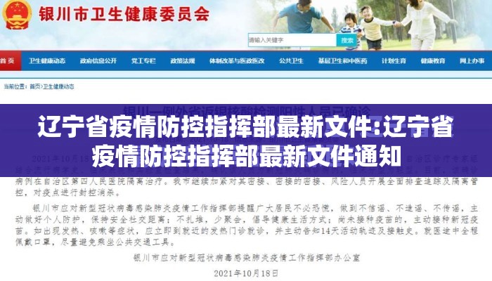 辽宁省疫情防控指挥部最新文件:辽宁省疫情防控指挥部最新文件通知