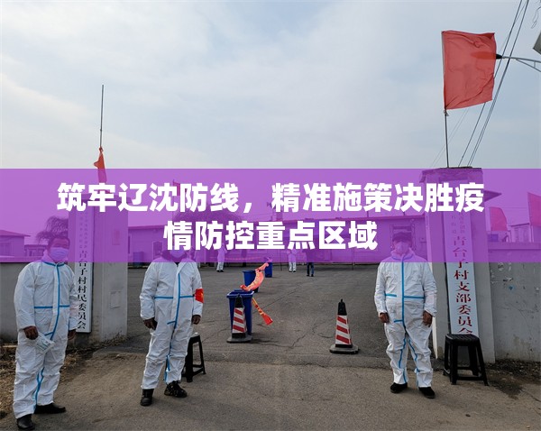 筑牢辽沈防线，精准施策决胜疫情防控重点区域