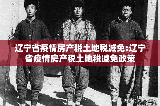 辽宁省疫情房产税土地税减免:辽宁省疫情房产税土地税减免政策