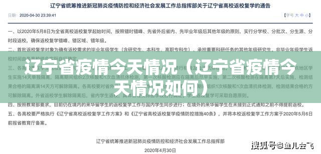 辽宁省疫情今天情况（辽宁省疫情今天情况如何）