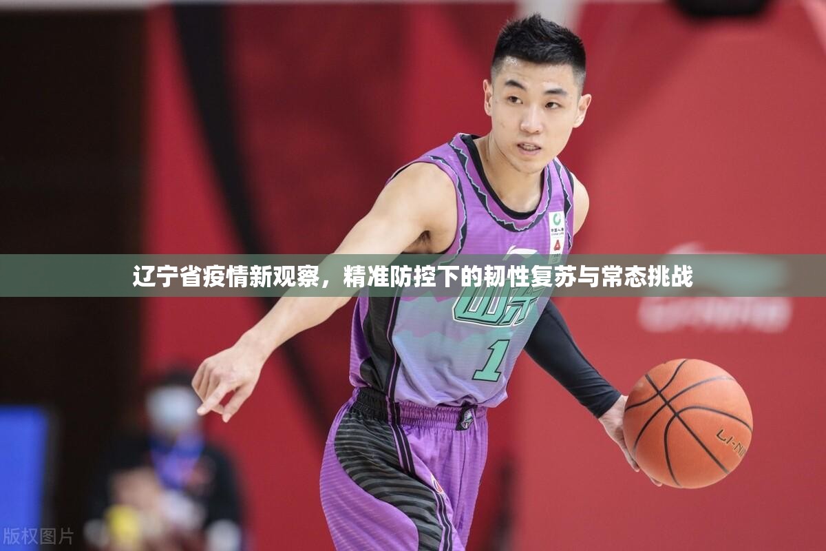 辽宁省疫情新观察，精准防控下的韧性复苏与常态挑战