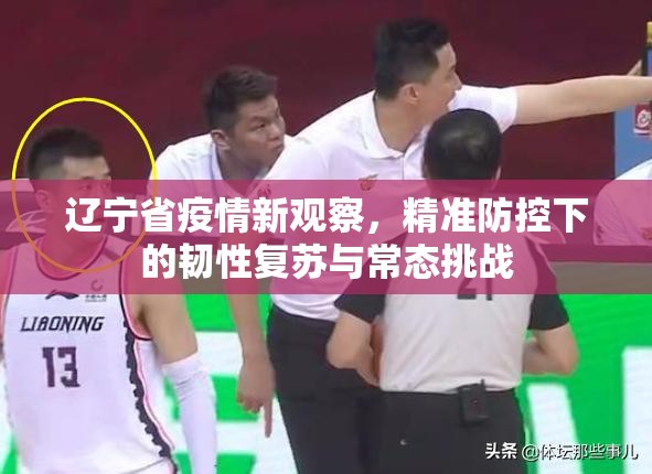 辽宁省疫情新观察，精准防控下的韧性复苏与常态挑战