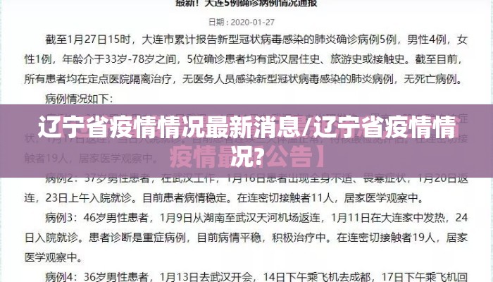 辽宁省疫情情况最新消息/辽宁省疫情情况?
