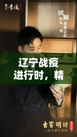 辽宁战疫进行时，精准防控下的疫情动态与全民应对