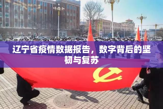 辽宁省疫情数据报告，数字背后的坚韧与复苏