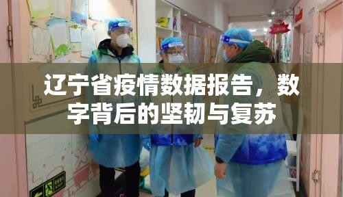 辽宁省疫情数据报告，数字背后的坚韧与复苏