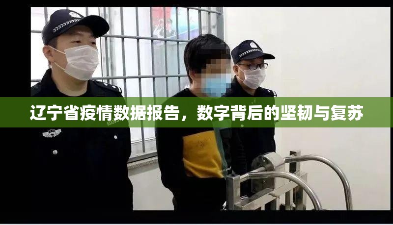 辽宁省疫情数据报告，数字背后的坚韧与复苏