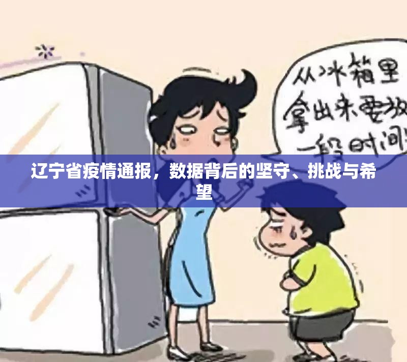 辽宁省疫情通报，数据背后的坚守、挑战与希望