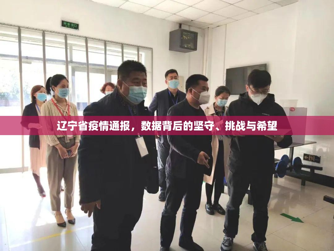 辽宁省疫情通报，数据背后的坚守、挑战与希望