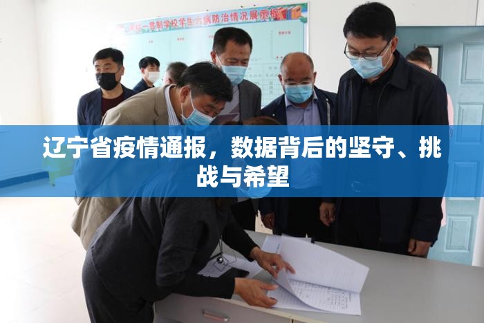 辽宁省疫情通报，数据背后的坚守、挑战与希望