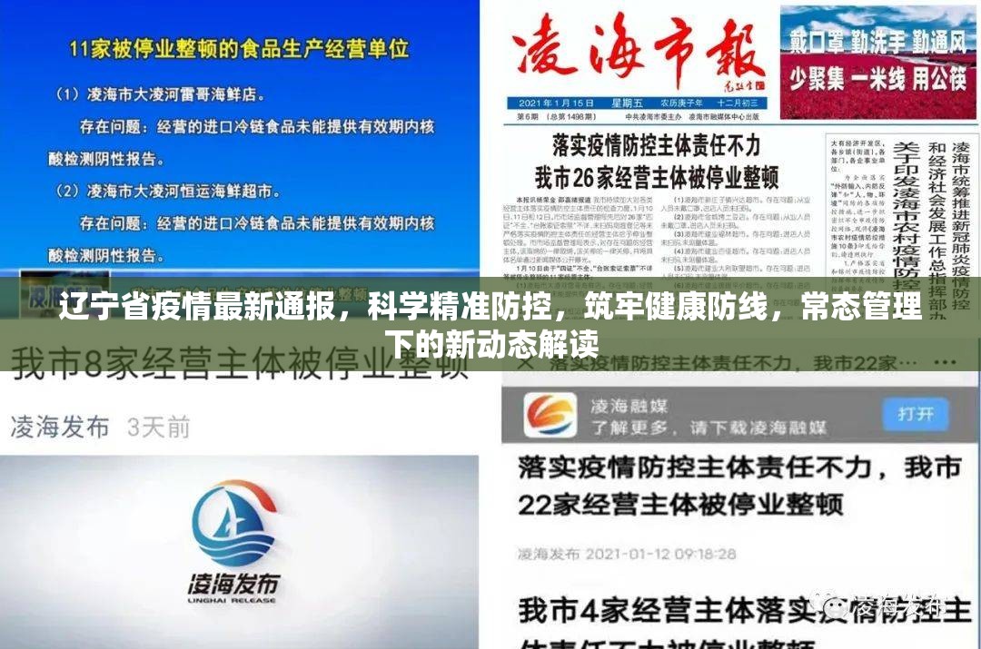 辽宁省疫情最新通报，科学精准防控，筑牢健康防线，常态管理下的新动态解读