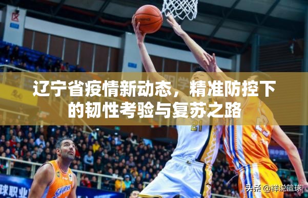 辽宁省疫情新动态，精准防控下的韧性考验与复苏之路