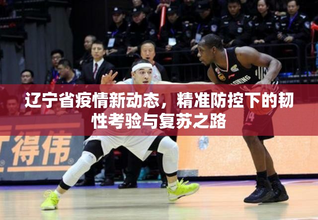 辽宁省疫情新动态，精准防控下的韧性考验与复苏之路